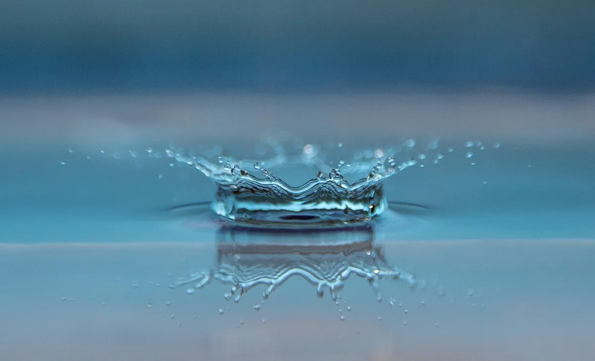 drop, splash, impact, ripples, water, ripple effect, waves, macro, drip, nature, liquid, surface tension, surface, water surface, close up, reflection, mirror i