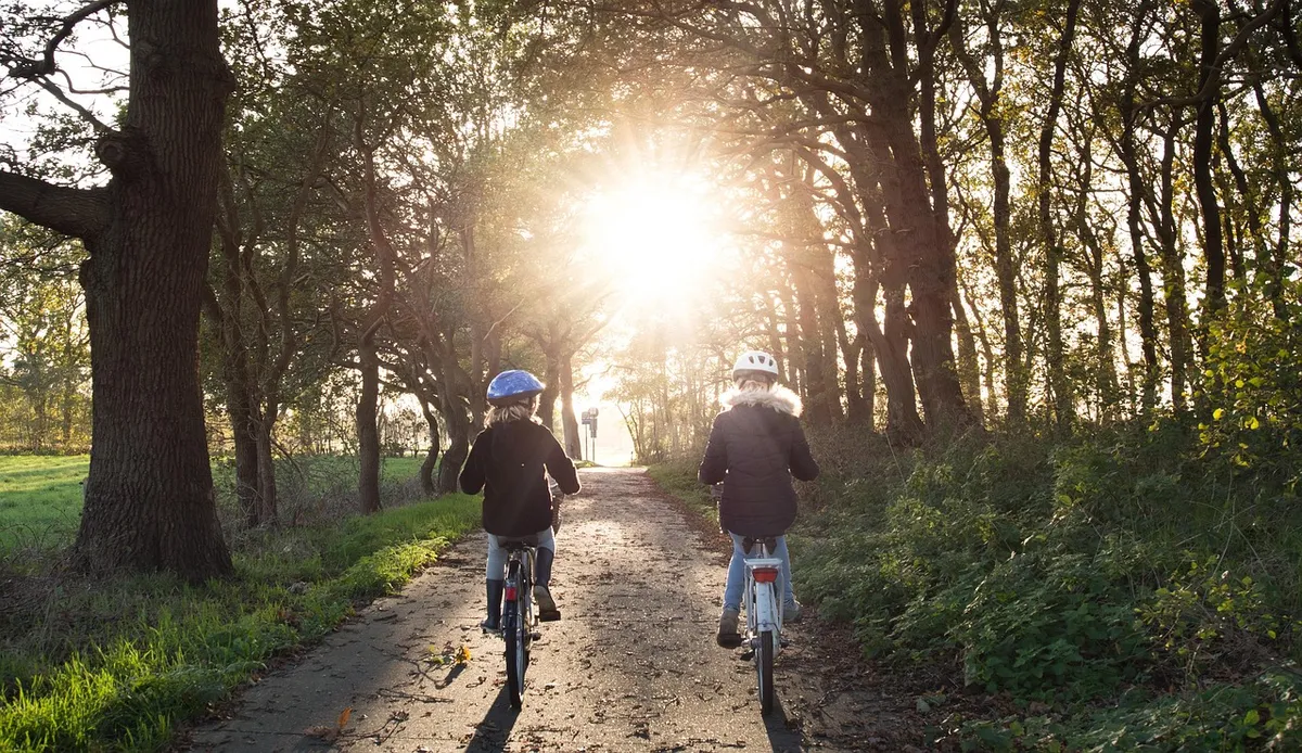 女の子、自転車、ヘルメット、自転車専用車道、木、雑草、公園、森、安全、晴天、夕方、自転車道、自転車、人、自転車乗り手、道、自転車乗り、自転車を乗り