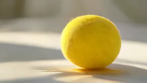 Comment intégrer le sport dans un quotidien exigeant ?