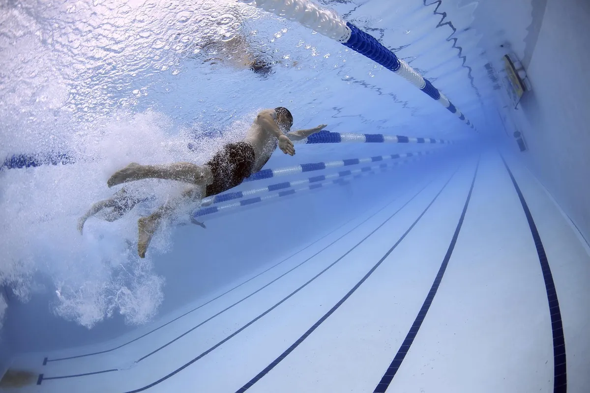 swimmers, swimming, pool, nature, olympic pool, race, competition, water, lanes, sports, water sports, athletes, athletic, olympics, underwater
