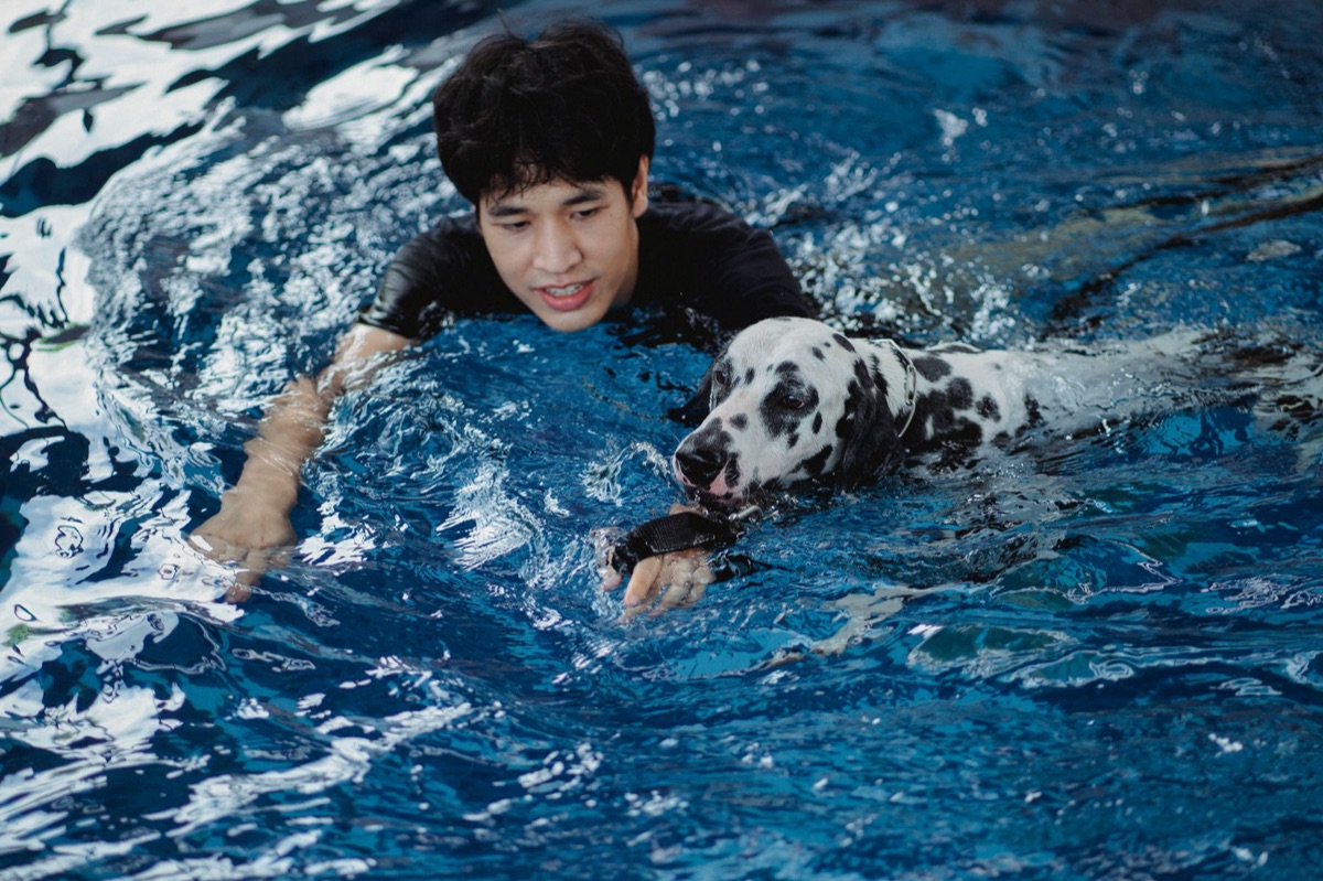 Beginner in water pool, first steps in swimming
